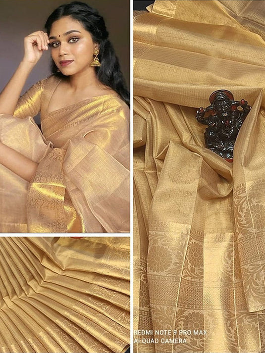 Villagius Handloom Big Zari Border Banarasi  Organza Tissue Saree